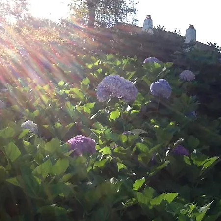 Golfetmer Couette-café