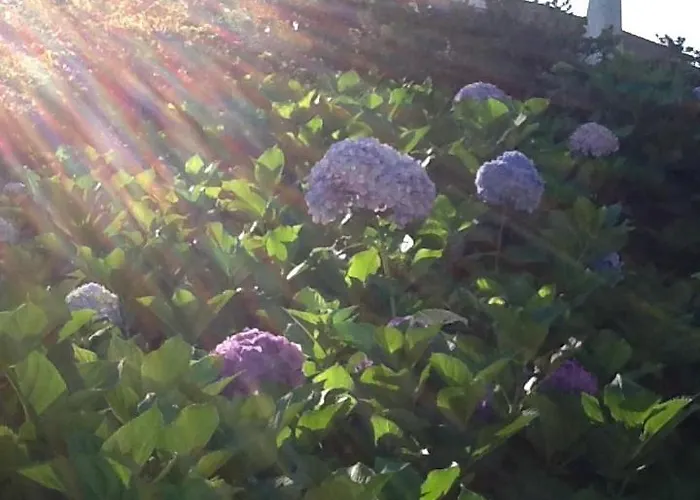 Golfetmer 住宿加早餐酒店